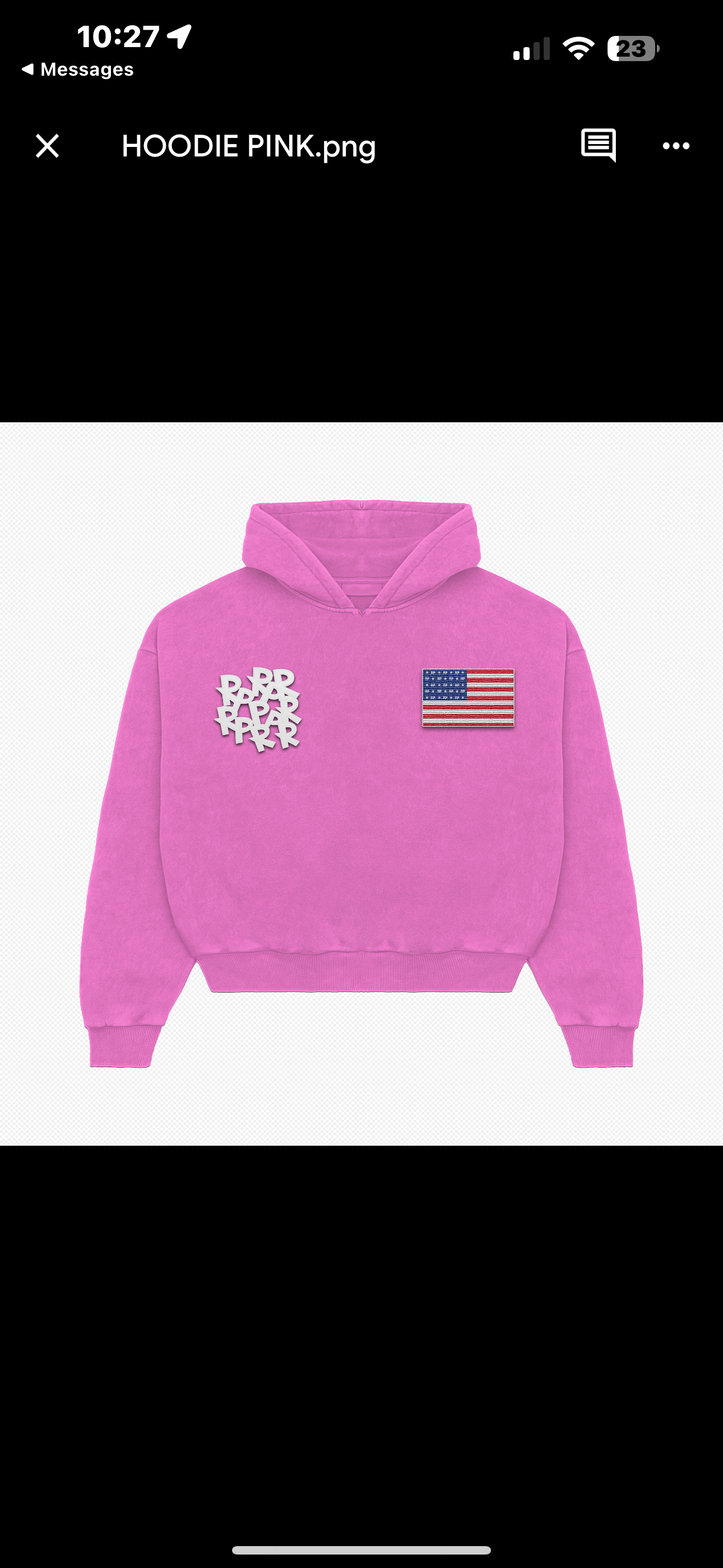 Pink America Hoodie